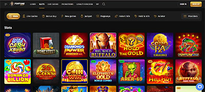 Fortune Play Casino Game Library