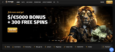 Fortune Play Casino Homepage