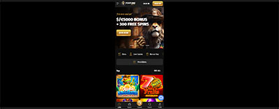 Fortune Play Casino Mobile Responsive